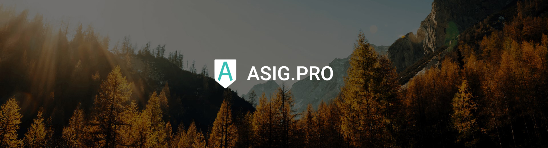 Asig-pro banner